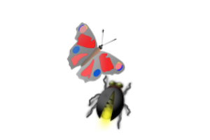bugbutterfly